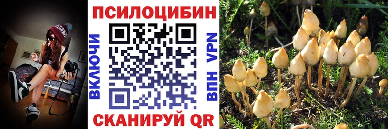 Галлюциногенные грибы Magic Shrooms  наркота  Никольск 